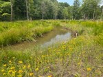 Duck Creek Stream Restoration