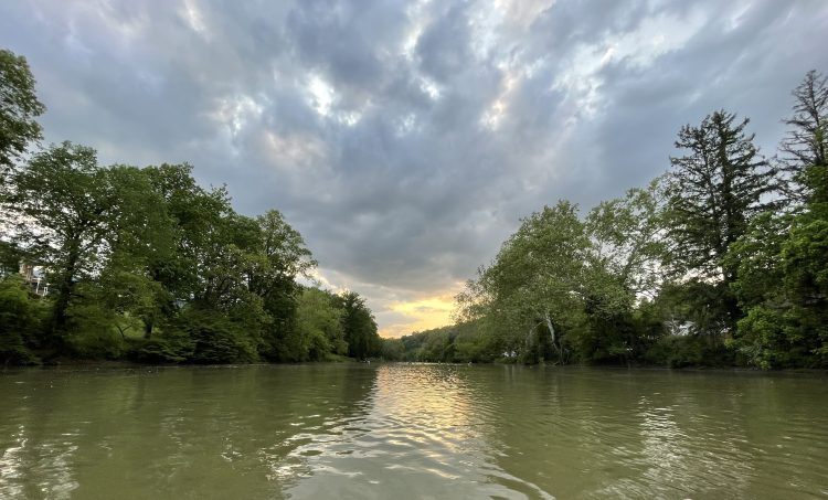 Tree-lined green river with sunset clouds